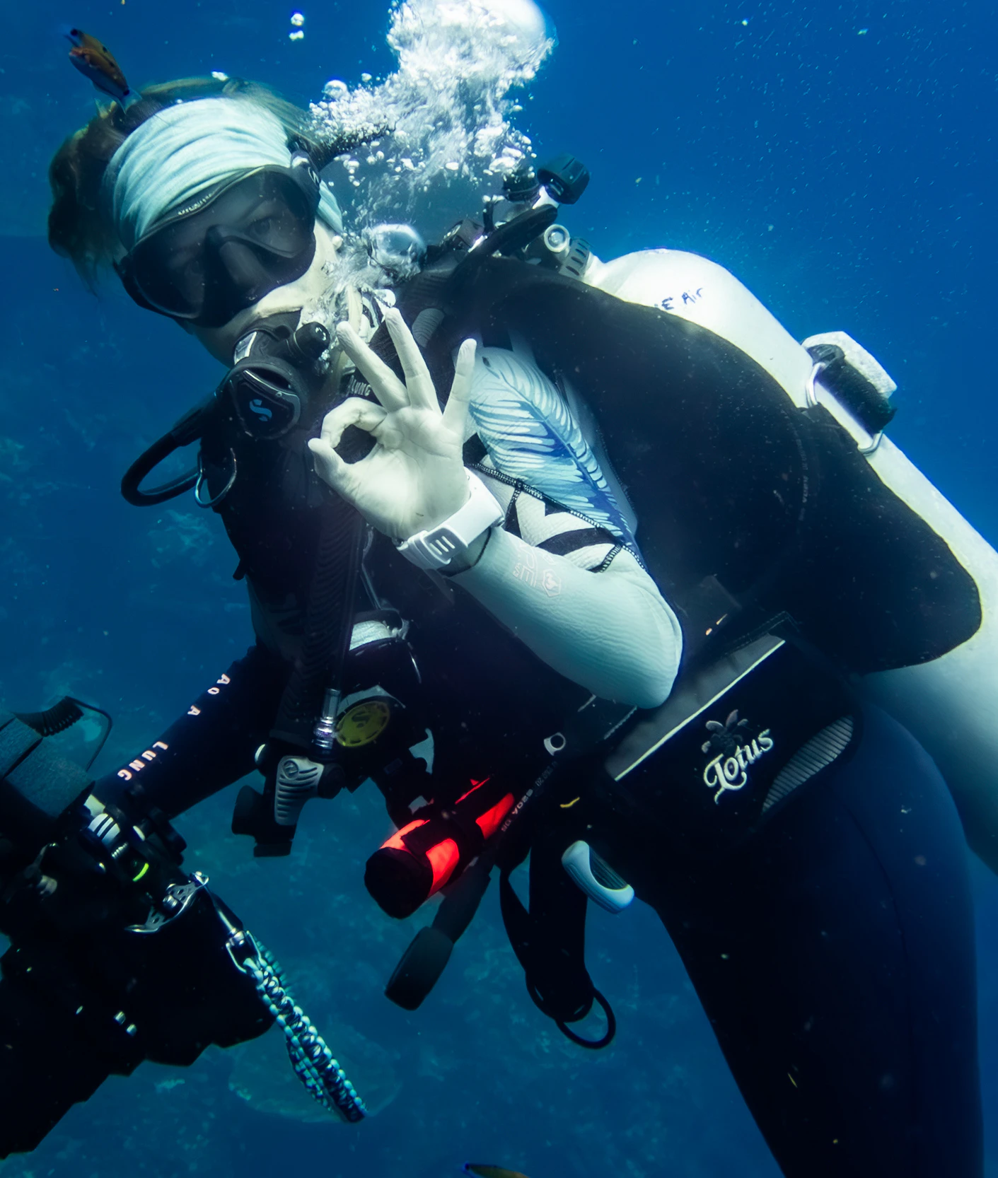 Contact Div'In – diving app support